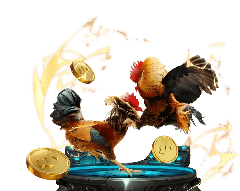 Đá Gà Trực Tuyến 99 win55