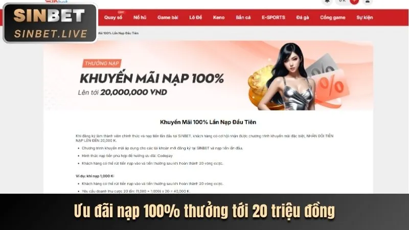 Hoàn trả hàng tuần 99 win55
